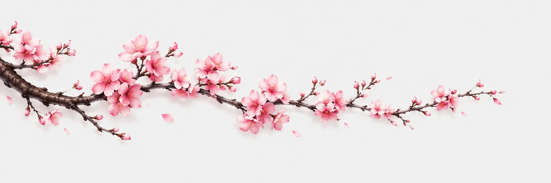 Sushi Casino Sushi καζινο banner with cherry blossoms